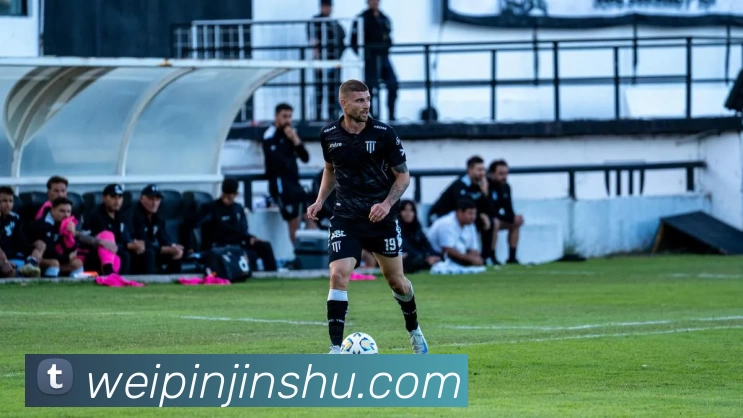 星空官网平台生态图