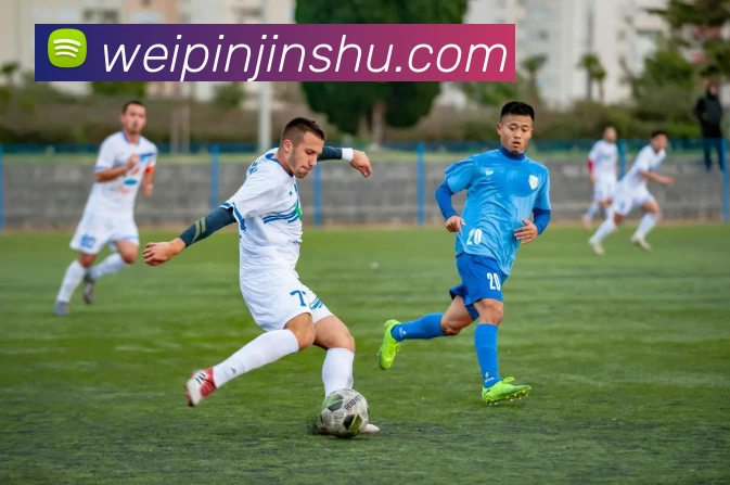 星空官网APP 封面图